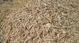 Corn cobs used as boiler fuel