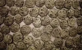 Dried cow dung used as boiler fuel