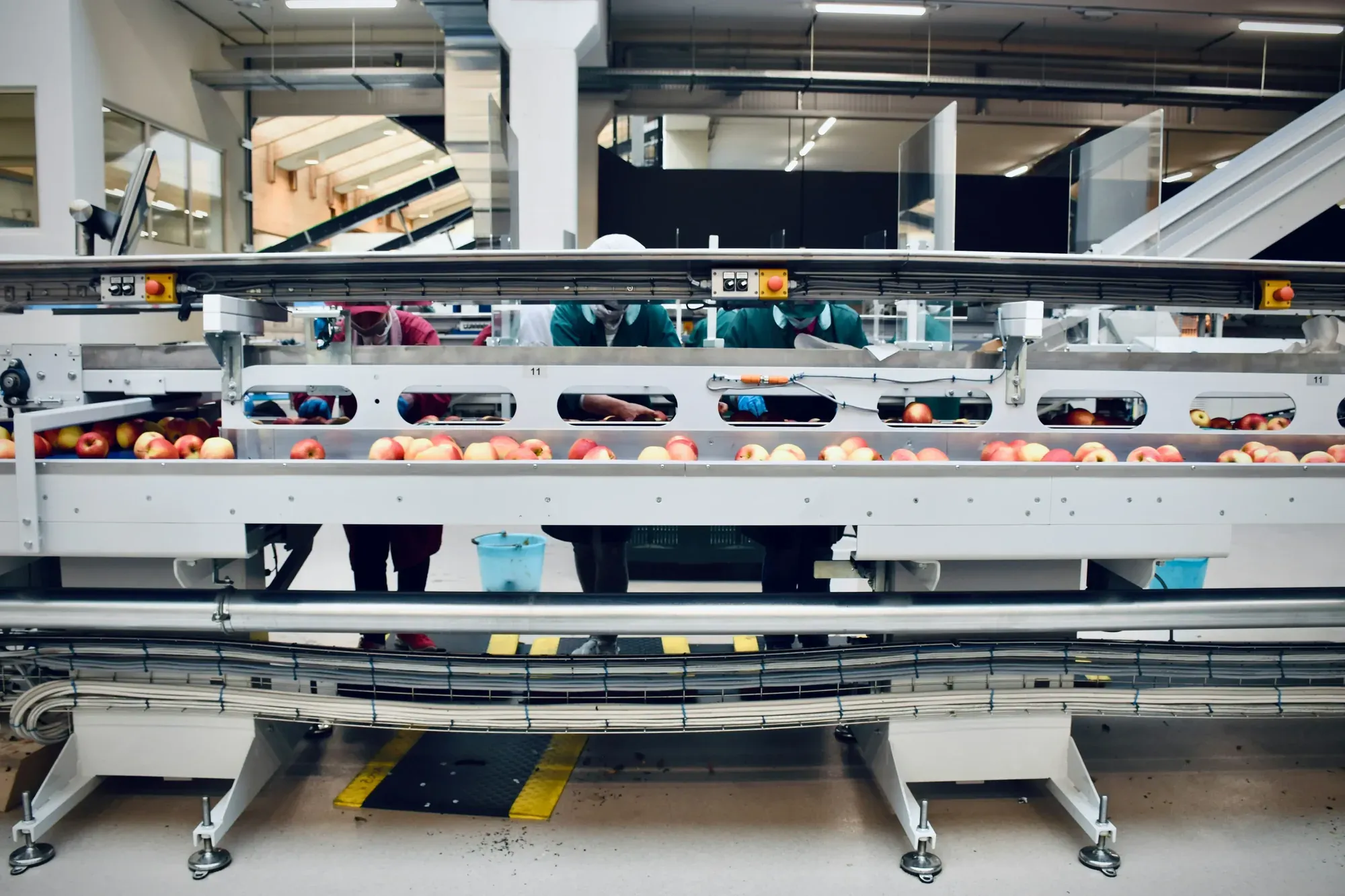 Modern food processing plant with stainless steel equipment