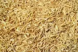 Rice husk used as boiler fuel