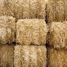 Wheat straw used as boiler fuel